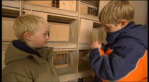 Minipala: Kirjekyyhkyset