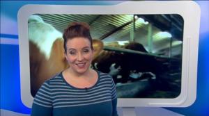 Yle Uutiset Uutis-Suomi: Yle Uutiset Uutis-Suomi 21-02-2017