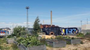 Asvalttiviidakot