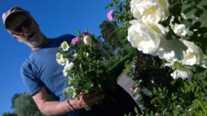 Yle Uutisluokka Triplet: Ilmastonmuutos näkyy suomalaisissa puutarhoissa