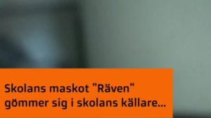 Stafettkarnevalen 2017 - skolornas egna videor: Socklot skola
