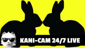 Kani-CAM 24/7 DAY 20