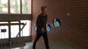 Stafettkarnevalen 2017 - skolornas egna videor: Chydenius skola