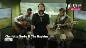 Vår Musik - video: The Napkins - Minikonsert