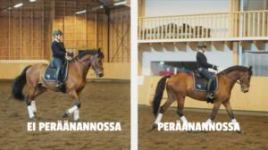 Ratsaille: Peräänanto, mutta miten?