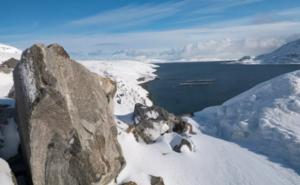 Yle Uutisluokka Triplet: Ilmastonmuutos aiheuttaa Jäämeren eläimille sopeutumiskamppailun