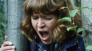 Harjunpää ja ahdistelija