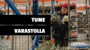 Tume oikeissa töissä: Kukkavarastolla