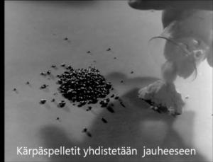 Oi maamme!: Innovaatio