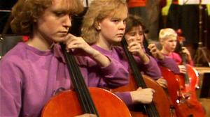 Viuluviikarit musiikkimaassa