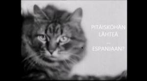 Oi maamme!: Eräs karvainen pako