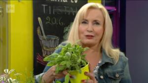 Lumpeen kukat: yrtit