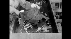 Oi maamme!: Suomen työmies