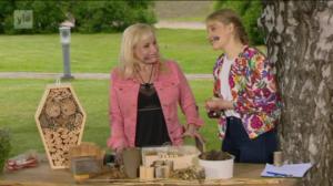 Lumpeen kukat: hyönteishotellit