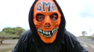 Docventures: Food Evolution