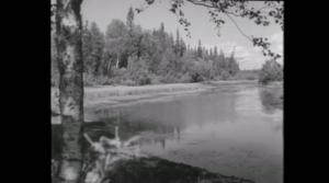 Oi maamme!: Kasvoin siellä minäkin