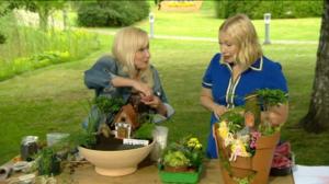 Lumpeen kukat: minipuutarha