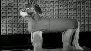 Oi maamme!: Pyhimys - Daniel Muukkonen