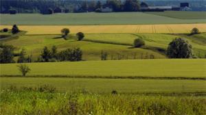 Yle Uutisluokka Triplet: Itämerta suojellaan peltojen suojavyöhykkeillä