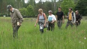 Luonto lähellä: Niitynhoitotalkoot