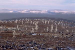Yle Uutisluokka Triplet: Uusi teos yhdistää maisemakuviin biologiaa, geologiaa, säätietoja ja karttoja