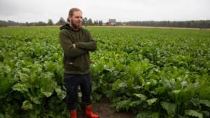 Yle Uutisluokka Triplet: Suomalainen sokerintuotanto kamppailee olemassaolostaan