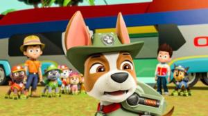 Yle Uutisluokka Triplet: Ryhmä Hau villitsee ja nauttii suurta suosiota