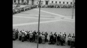 Oi maamme!: Urheilu on ilomme