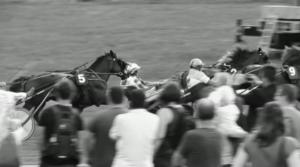 Oi maamme!: Kupittaalta Metsämäkeen