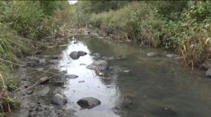 Luonto lähellä: Kutusoraikko taimenelle