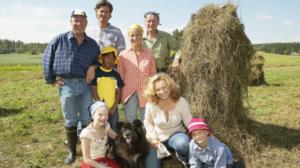 Vasikantanssi: Eksyksissä