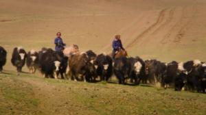 Kiehtova maailma: Nomadien matkassa