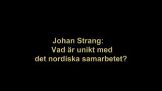 Esitelmämaraton: Johan Strang