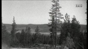 Vuosirenkaita: 14.12.2015 14.53