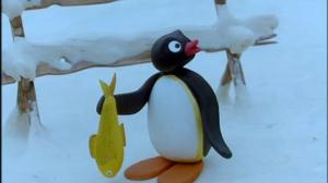 Pingu (S): 01.02.2016 07.07