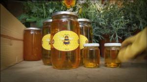 Ruohonjuuritasolla (S): 27.10.2015 18.55