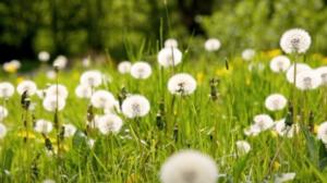 Ruohonjuuritasolla (S): 01.12.2015 18.55