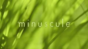 Ruohonjuuritasolla (S): 15.12.2015 18.55