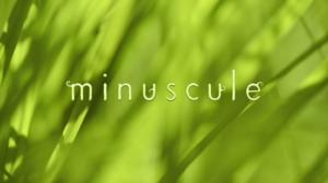 Ruohonjuuritasolla (S): 22.12.2015 18.54