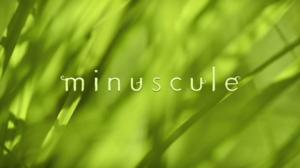 Ruohonjuuritasolla (S): 29.12.2015 18.54