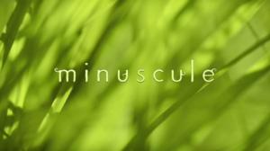 Ruohonjuuritasolla (S): 05.01.2016 18.55