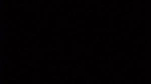 Pingu (S): 14.12.2015 07.06