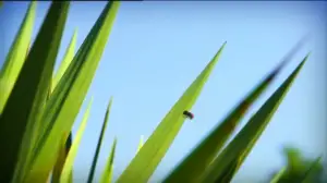 Ruohonjuuritasolla (S): 25.02.2016 18.53