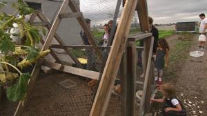 New Yorkin herkut: 10.12.2015 11.31