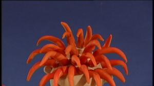 Nimipäiväonnittelu: 9.11.: 09.11.2015 06.51