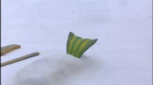 Pingu (S): 21.03.2016 07.04