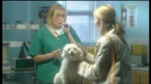 Ponille kyytiä (7): 15.04.2016 09.16