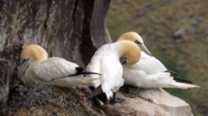 Luontoretkellä: 12.02.2016 11.30