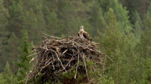 Luontoretkellä: 11.03.2016 12.17