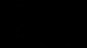 Pingu (S): 15.01.2016 07.07